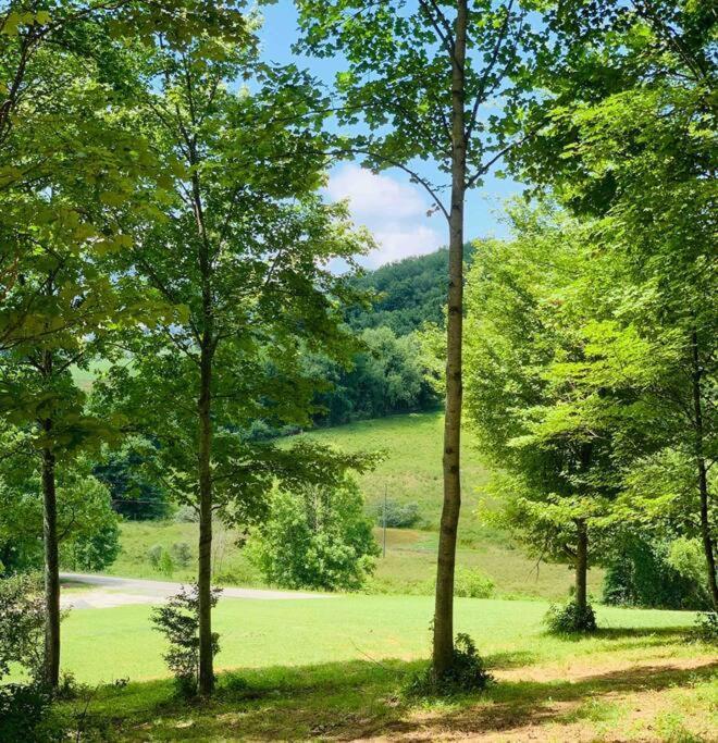 Foxtail Orchards - The Fox Den Villa Tazewell Екстериор снимка